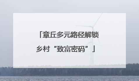 章丘多元路径解锁乡村“致富密码”