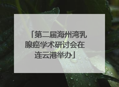 第二届海州湾乳腺癌学术研讨会在连云港举办