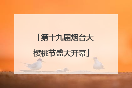 第十九届烟台大樱桃节盛大开幕