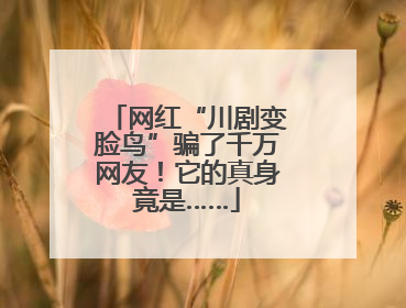 网红“川剧变脸鸟”骗了千万网友！它的真身竟是……