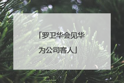 罗卫华会见华为公司客人