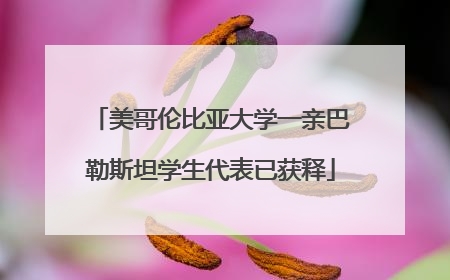 美哥伦比亚大学一亲巴勒斯坦学生代表已获释