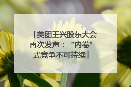 美团王兴股东大会再次发声：“内卷”式竞争不可持续