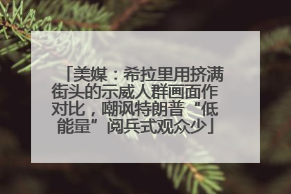美媒：希拉里用挤满街头的示威人群画面作对比，嘲讽特朗普“低能量”阅兵式观众少