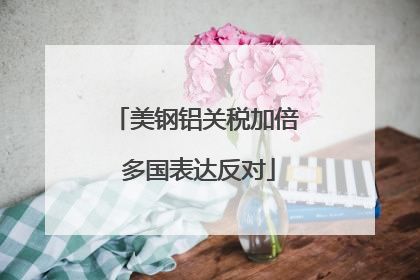 美钢铝关税加倍 多国表达反对