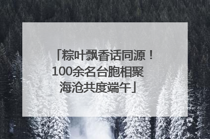 粽叶飘香话同源！100余名台胞相聚海沧共度端午