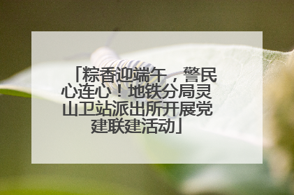 粽香迎端午，警民心连心！地铁分局灵山卫站派出所开展党建联建活动