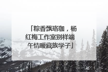 粽香飘珞珈，杨红梅工作室别样端午情暖藏族学子