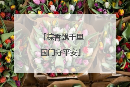 粽香飘千里 国门守平安