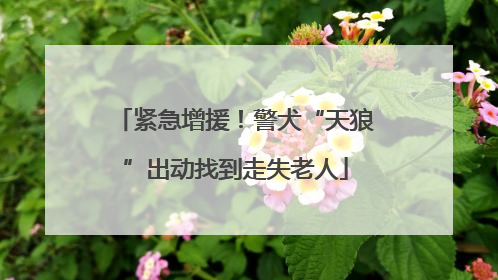 紧急增援！警犬“天狼”出动找到走失老人