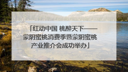 红动中国 桃醉天下——蒙阴蜜桃消费季暨蒙阴蜜桃产业推介会成功举办