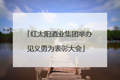 红太阳酒业集团举办见义勇为表彰大会