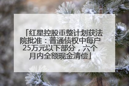 红星控股重整计划获法院批准：普通债权中每户25万元以下部分，六个月内全额现金清偿