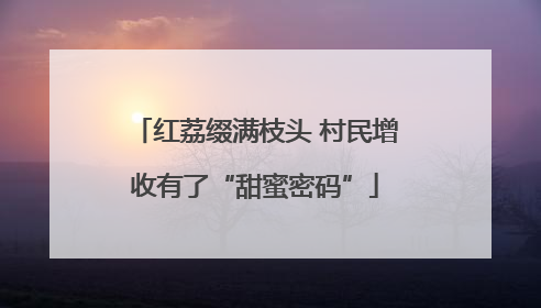 红荔缀满枝头 村民增收有了“甜蜜密码”