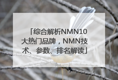 综合解析NMN10大热门品牌，NMN技术、参数、排名解读