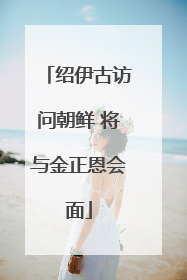 绍伊古访问朝鲜 将与金正恩会面
