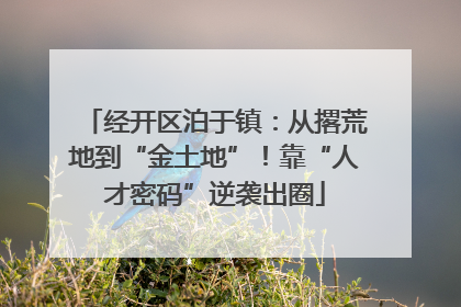 经开区泊于镇：从撂荒地到“金土地”！靠“人才密码”逆袭出圈