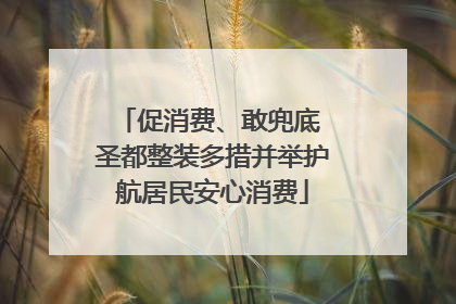 促消费、敢兜底 圣都整装多措并举护航居民安心消费