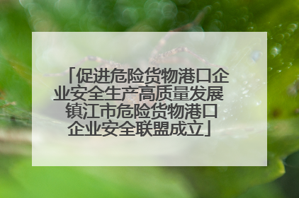 促进危险货物港口企业安全生产高质量发展 镇江市危险货物港口企业安全联盟成立