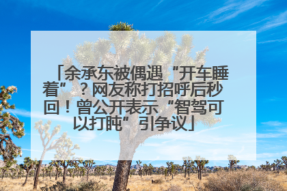 余承东被偶遇“开车睡着”？网友称打招呼后秒回！曾公开表示“智驾可以打盹”引争议