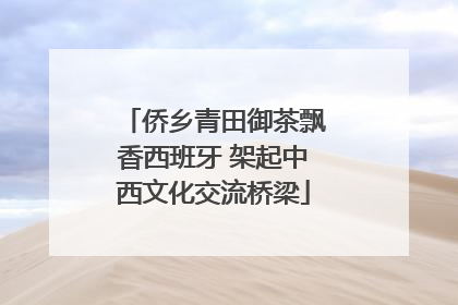 侨乡青田御茶飘香西班牙 架起中西文化交流桥梁