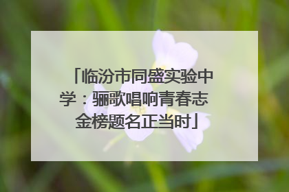 临汾市同盛实验中学：骊歌唱响青春志 金榜题名正当时