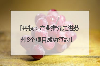 丹棱：产业推介走进苏州8个项目成功签约