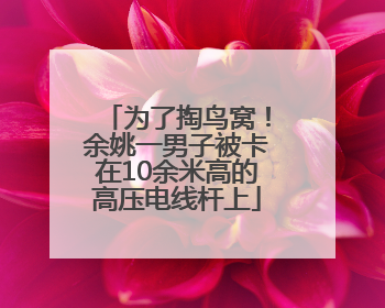 为了掏鸟窝！余姚一男子被卡在10余米高的高压电线杆上