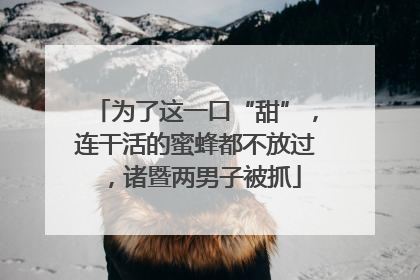 为了这一口“甜”，连干活的蜜蜂都不放过，诸暨两男子被抓