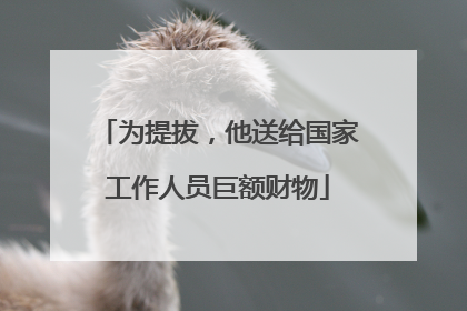 为提拔，他送给国家工作人员巨额财物