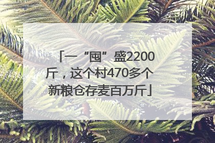 一“囤”盛2200斤，这个村470多个新粮仓存麦百万斤