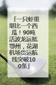 一只虾重堪比一个西瓜！90吨活波龙运抵鄂州，花湖机场货运航线突破100条
