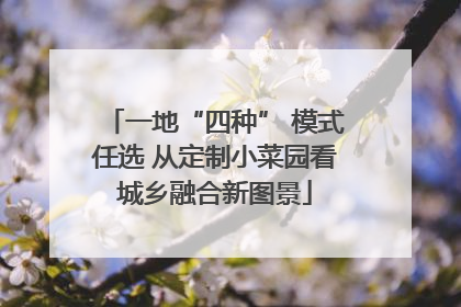 一地“四种” 模式任选 从定制小菜园看城乡融合新图景