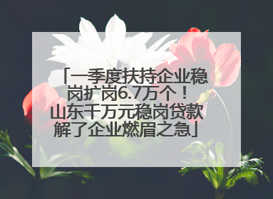 一季度扶持企业稳岗扩岗6.7万个！山东千万元稳岗贷款解了企业燃眉之急