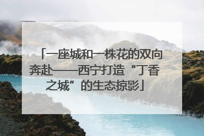 一座城和一株花的双向奔赴——西宁打造“丁香之城”的生态掠影