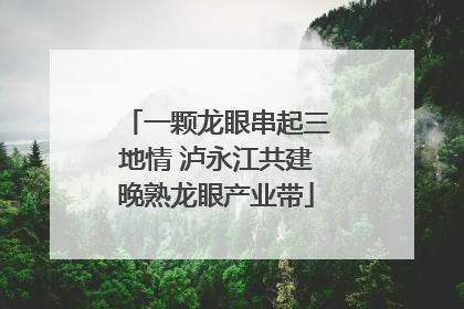 一颗龙眼串起三地情 泸永江共建晚熟龙眼产业带