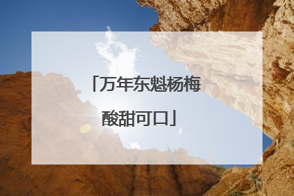 万年东魁杨梅 酸甜可口