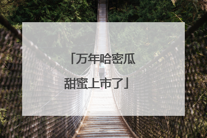 万年哈密瓜甜蜜上市了