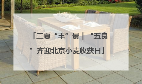 三夏“丰”景｜“五良”齐迎北京小麦收获日
