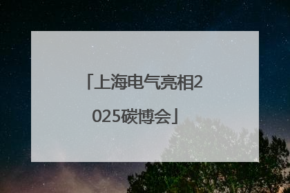 上海电气亮相2025碳博会