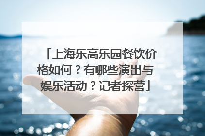 上海乐高乐园餐饮价格如何？有哪些演出与娱乐活动？记者探营