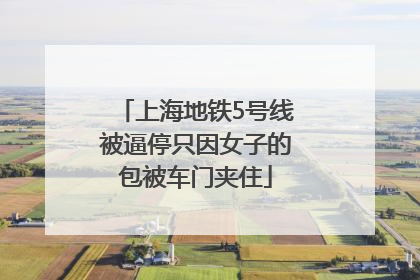 上海地铁5号线被逼停只因女子的包被车门夹住