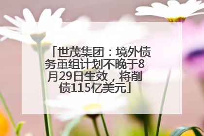 世茂集团：境外债务重组计划不晚于8月29日生效，将削债115亿美元