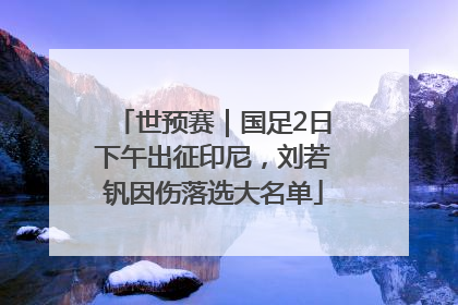 世预赛｜国足2日下午出征印尼，刘若钒因伤落选大名单