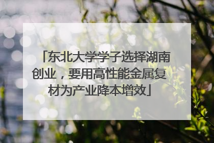 东北大学学子选择湖南创业，要用高性能金属复材为产业降本增效