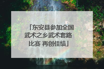 东安县参加全国武术之乡武术套路比赛 再创佳绩
