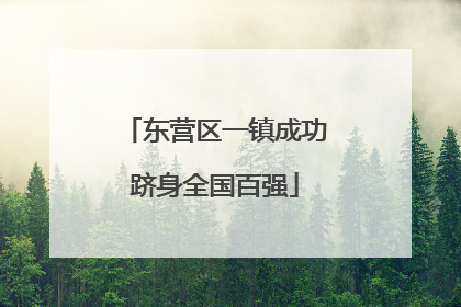 东营区一镇成功跻身全国百强