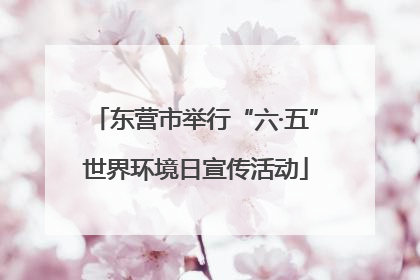 东营市举行“六·五”世界环境日宣传活动