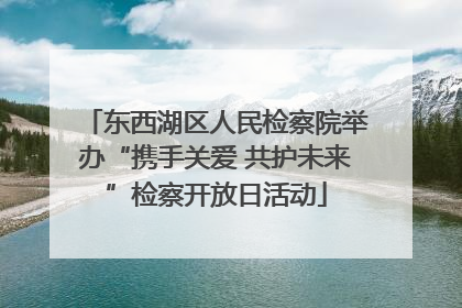 东西湖区人民检察院举办“携手关爱 共护未来”检察开放日活动