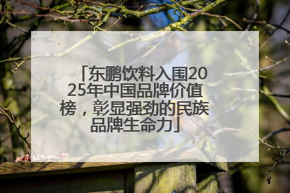 东鹏饮料入围2025年中国品牌价值榜，彰显强劲的民族品牌生命力